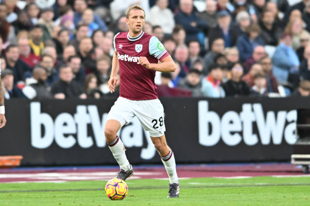 特狮庆祝巴 特狮庆祝巴