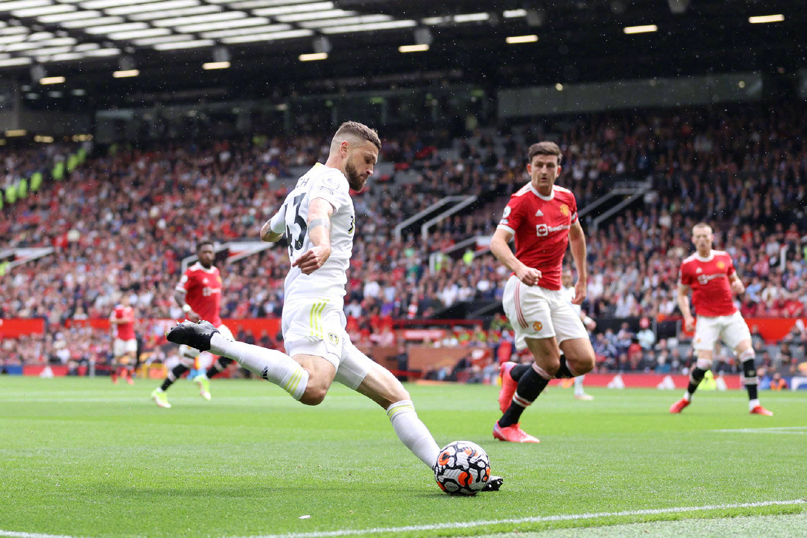 我们期待他 我们期待他